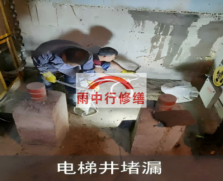 阿拉善星雨华府电梯井堵漏案例